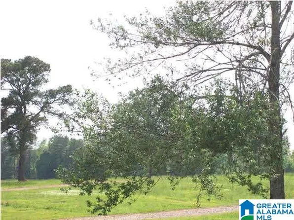 0 Jones Ln #7989, Lincoln, AL 35096