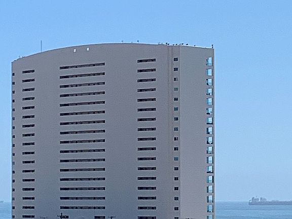 Road View of Tower