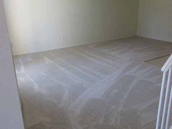 New Carpet