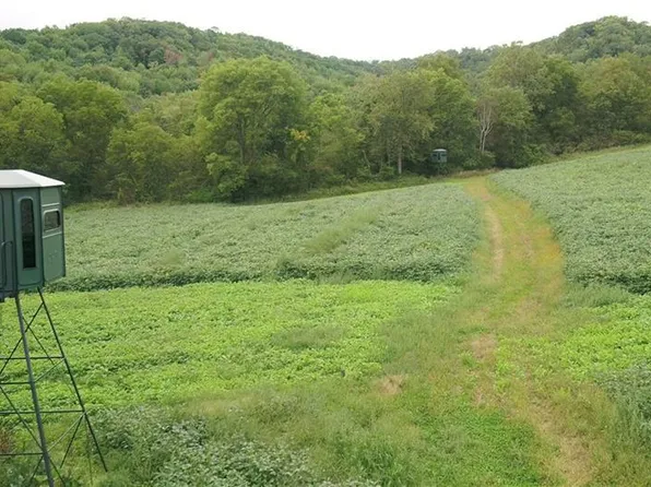 0 Lindstrom Road, Nelson, WI 54756