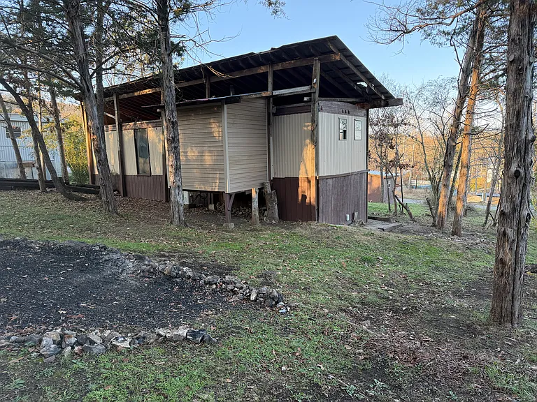 119 back yard