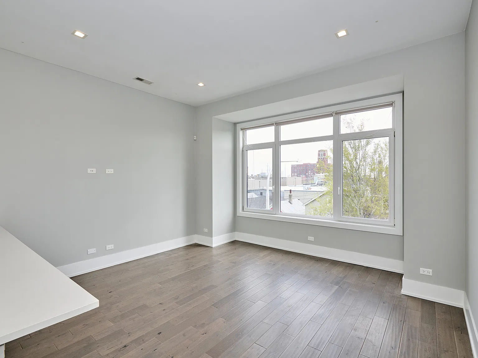 1338 West Cullerton Street - 2E — Photo 2