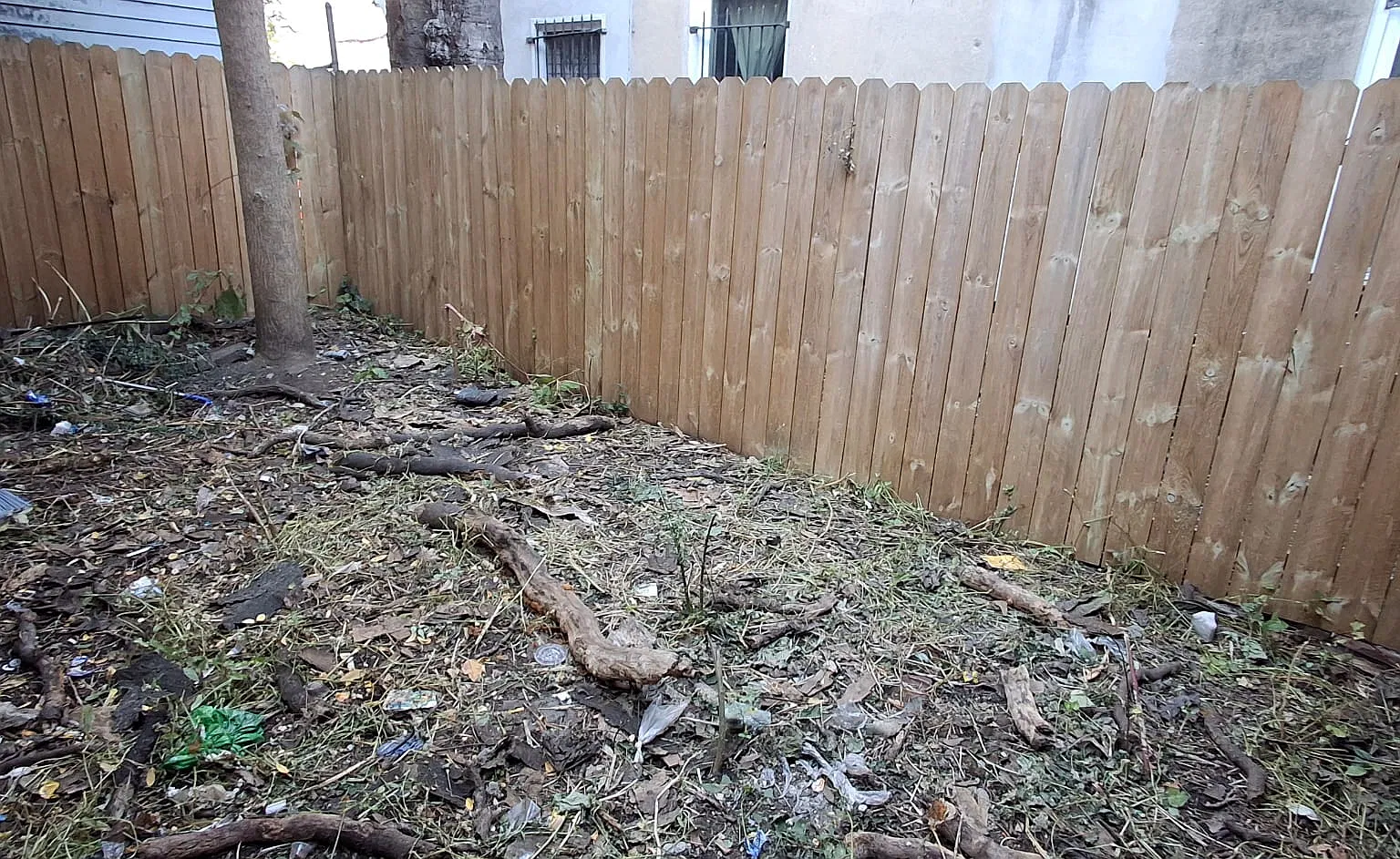 3 bed, 1100 sqft, $1,900 — Photo 3
