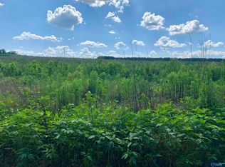6 County Road 508, Fort Payne, AL 35968