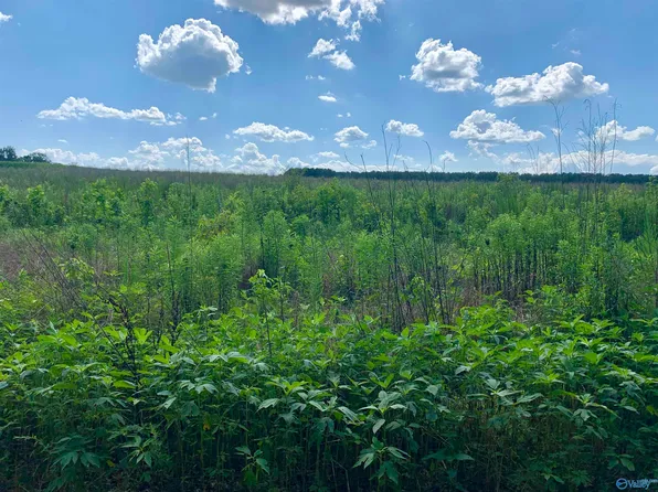 6 County Road 508, Fort Payne, AL 35968