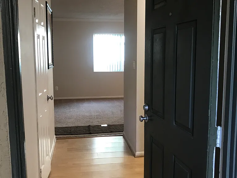 7525 Charmant Dr #111 — Photo 51