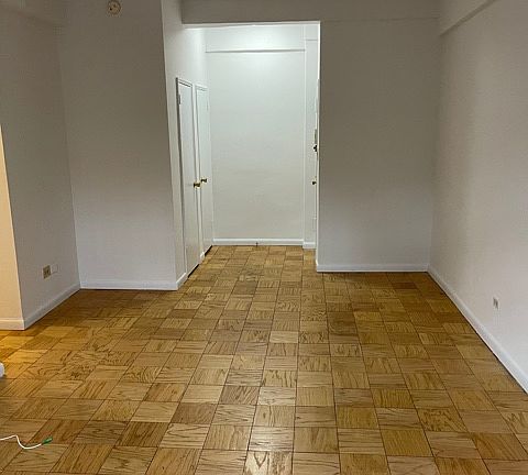 3rd image of 327 W 30th St APT Lb