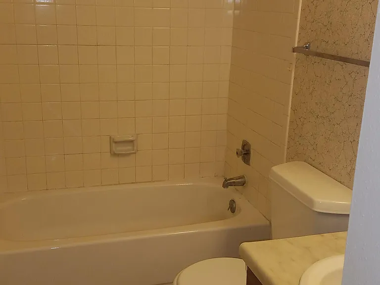 6854 Agua Calientes — Photo 5