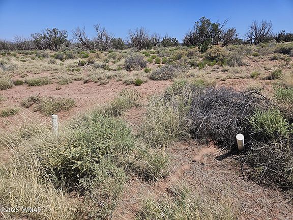 2nd image of 8290 El Rancho Trl