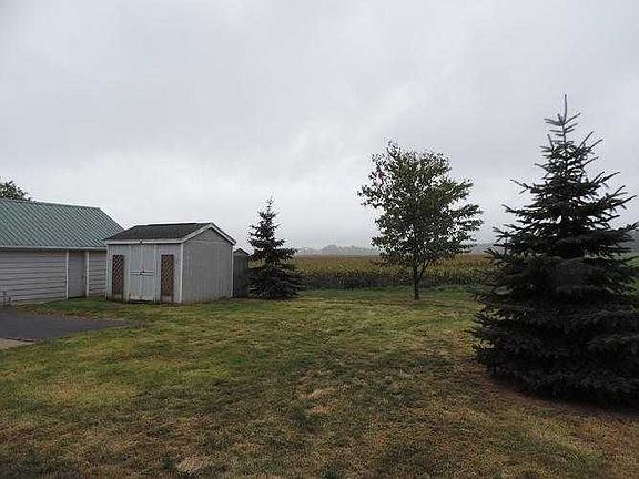 The back yard.