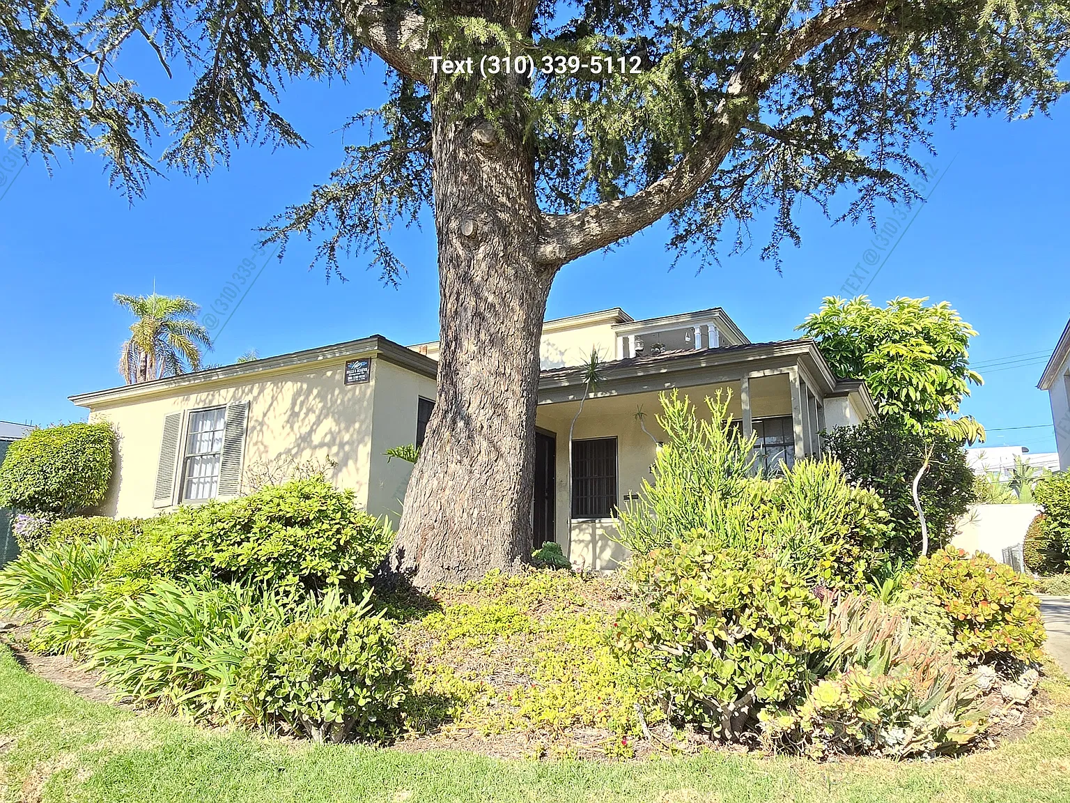 1 bed, 653 sqft, $1,995 — Photo 4