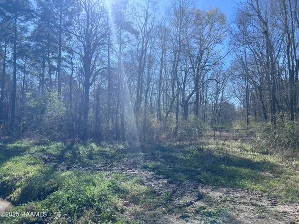 294 Hawks Rd, Rayne, LA 70578