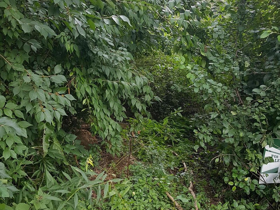 2nd image of 16086 Park Lake Rd