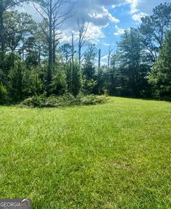 762 Aldridge Rd, Buena Vista, GA, 31803