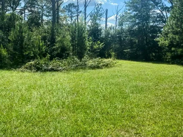 762 Aldridge Rd, Buena Vista, GA 31803