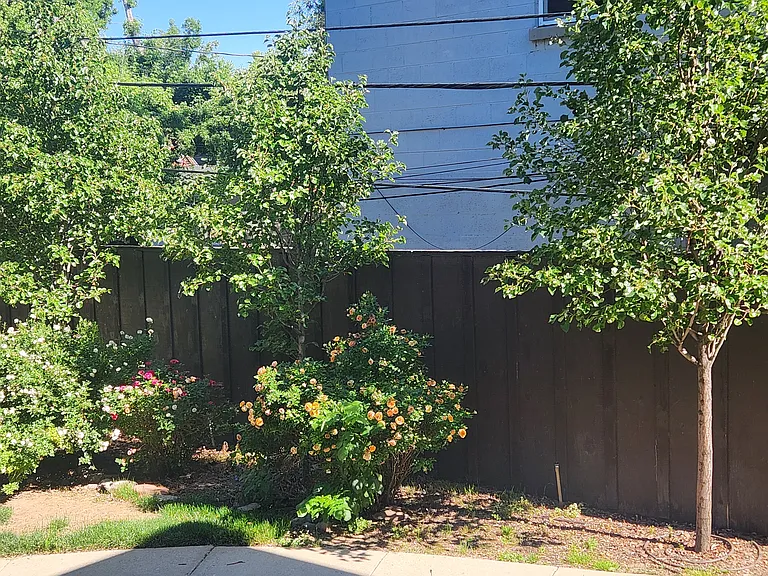 131 S So 1000 E #5 — Photo 14