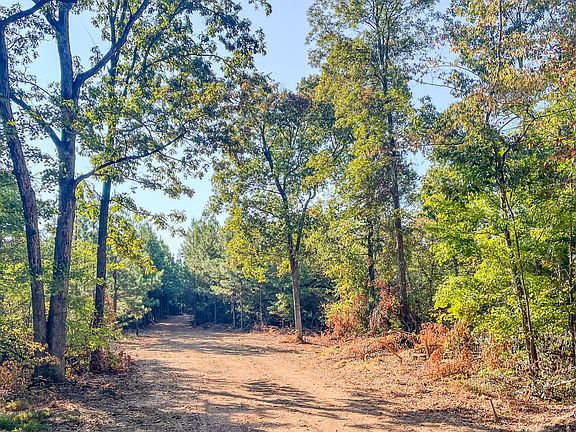 5th image of 0 Highway 232 S Lot 2