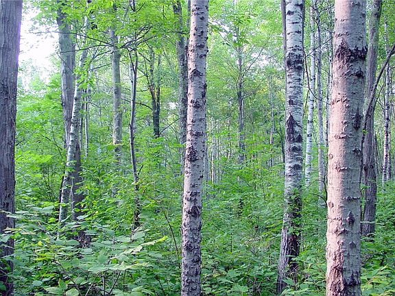 5th image of 94 Acres on Cty. Rd. J