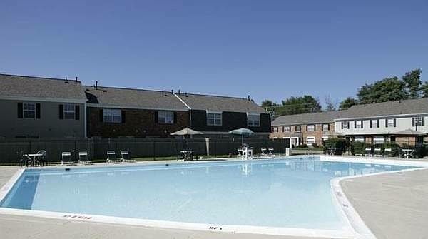Sparkling Olympic Sized Pool