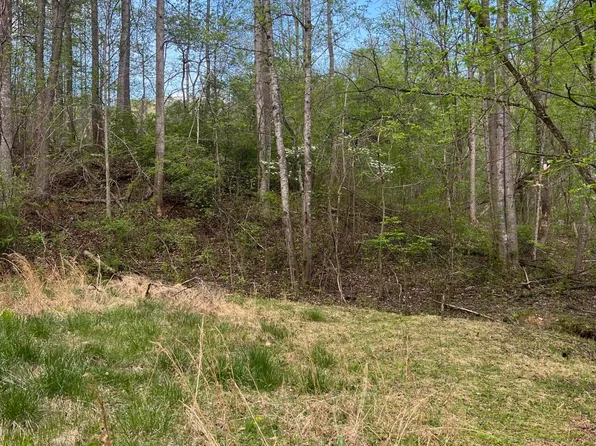 332 Terrace Rd, Boones Mill, VA 24065