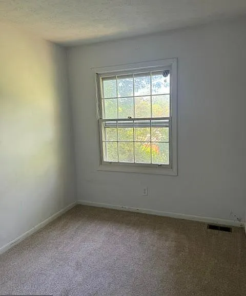 237 Cameron St — Photo 13