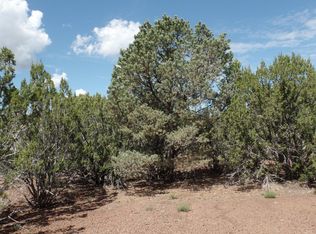 County Road 3323 PARCEL A, Vernon, AZ 85940