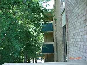 2nd image of 6133 Leesburg Pike APT 505