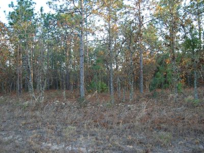 0 SW 66 St, Ocala, FL, 34481
