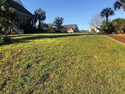 Looking up at the Street