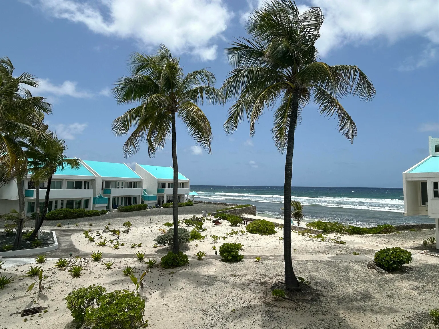 2 bed, $2,250 — Photo 3