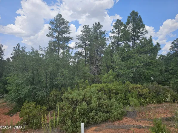 7026 Leo Ln, Lakeside, AZ 85929