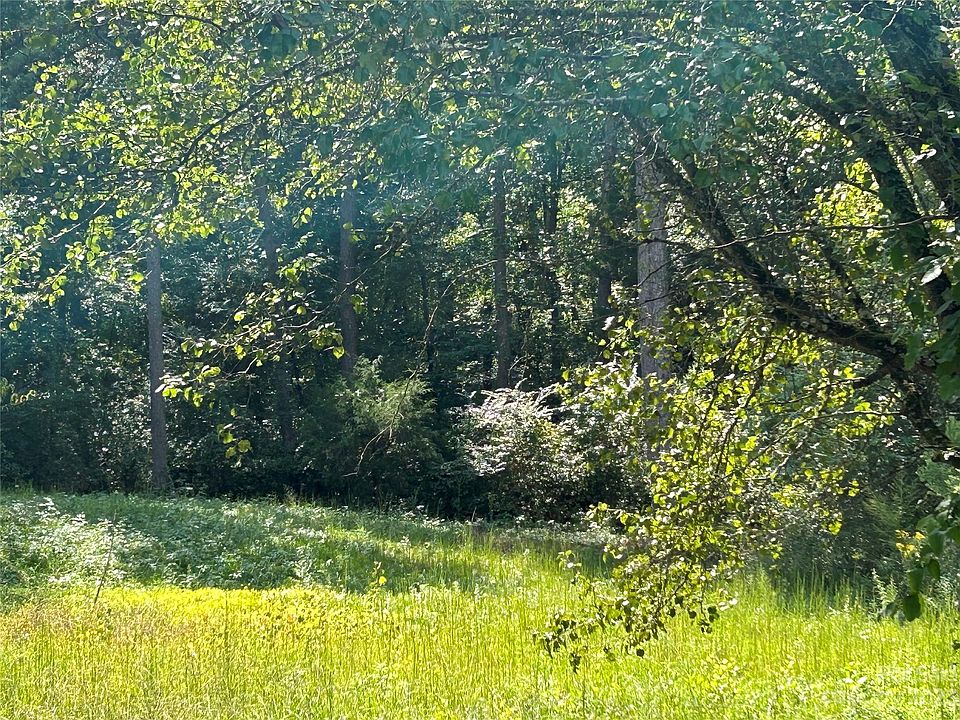 2nd image of 9404 Northwoods Forest Dr