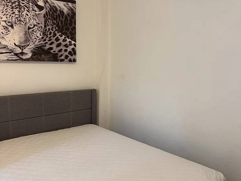 45 Calle Barcelona — Photo 8