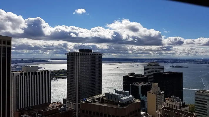 Rented by NY Living Solutions | media 18