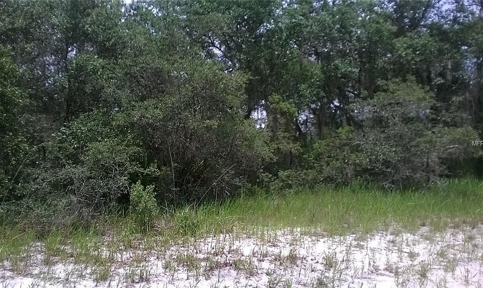 2nd image of 1246 Wahneta Dr