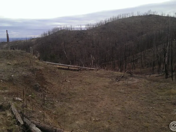 1651 Whale Rock Rd, Bellvue, CO 80512