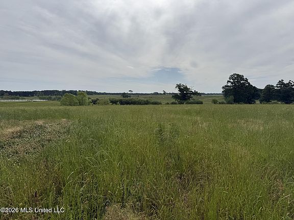 3rd image of 813 Holmesville Rd