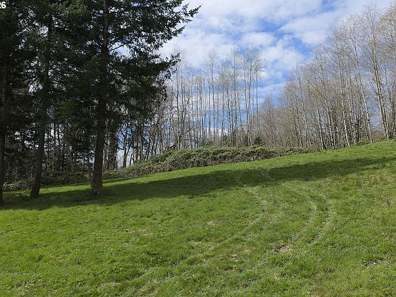 5th image of 182 White Dog Rd