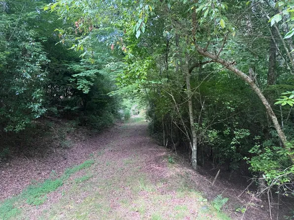 39 Fiddlers Way, Brasstown, NC 28902