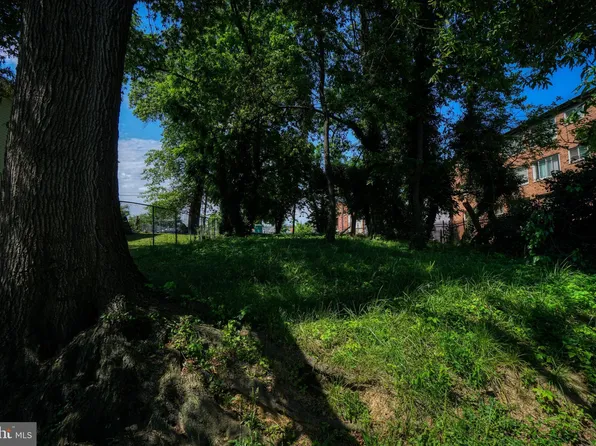 Clay St NE, Washington, DC 20019