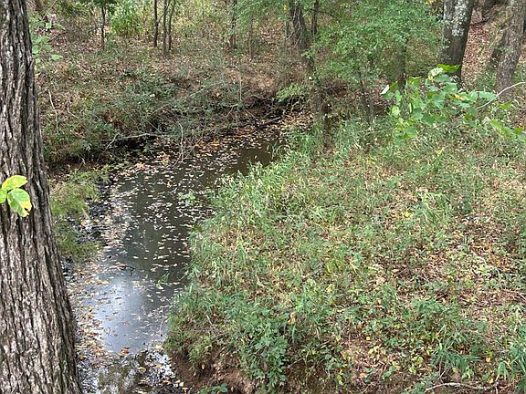 4th image of 6427 W Creek Rd