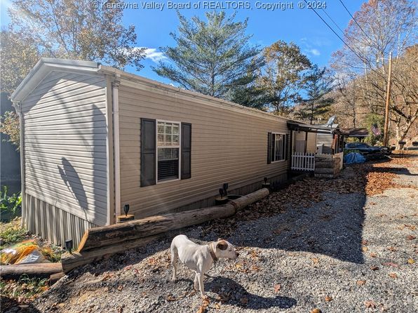 11462 Duck Rd, Maysel, WV 25133