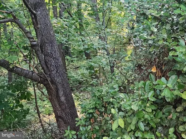 5152 Dickerson Rd, Partlow, VA 22534