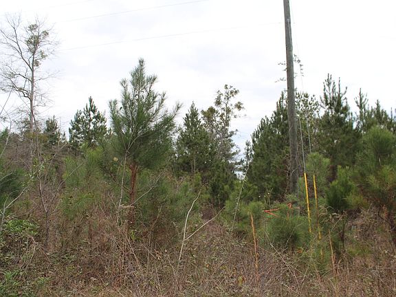 3rd image of 123 Lower Dugan Rd 5 Acres