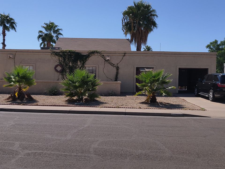 Recently planted palm trees.