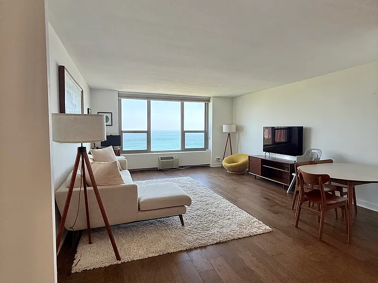 1550 N Lake Shore Dr #28C — Photo 3