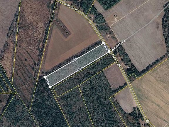 2nd image of Cypress Rd