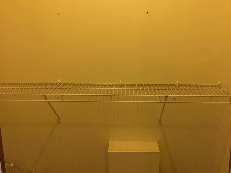 Master walk in closet