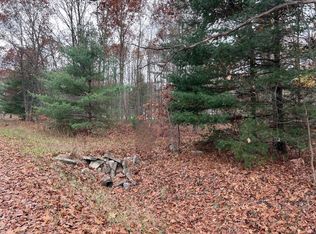 3790 Jones Rd, Beaverton, MI 48612