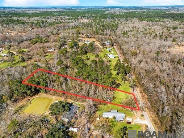 Carthage Bluff Rd, Springfield, LA 70462